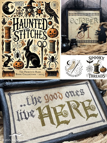 PREORDER Haunted Stitches Book