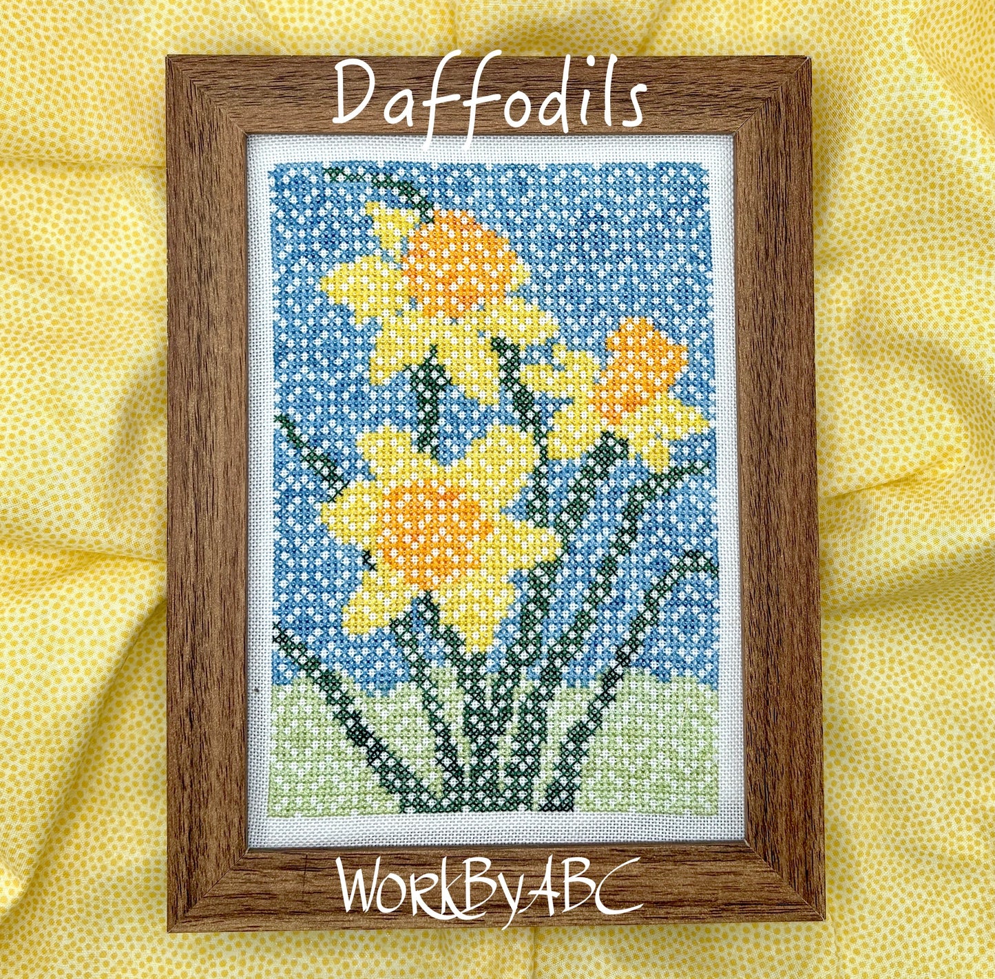 PREORDER Daffodils